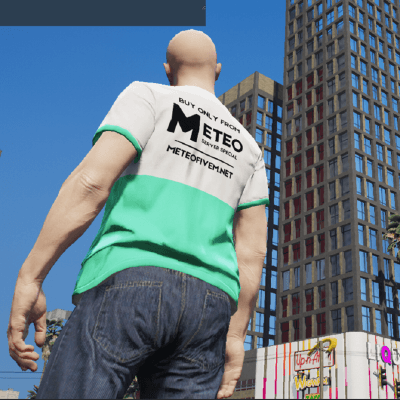 Meteo - FiveM Developer & Founder